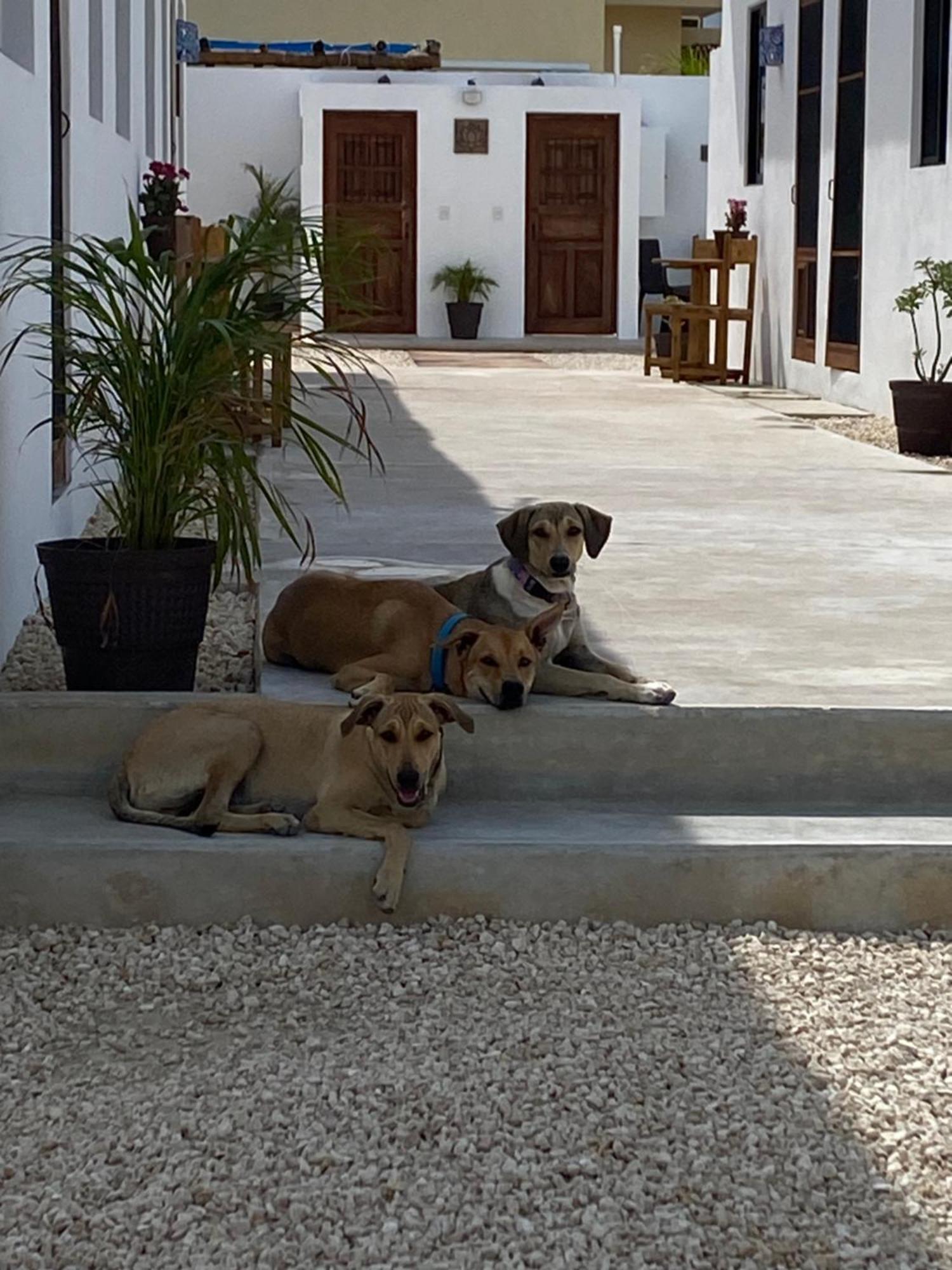 Casa Loto B * Chelem