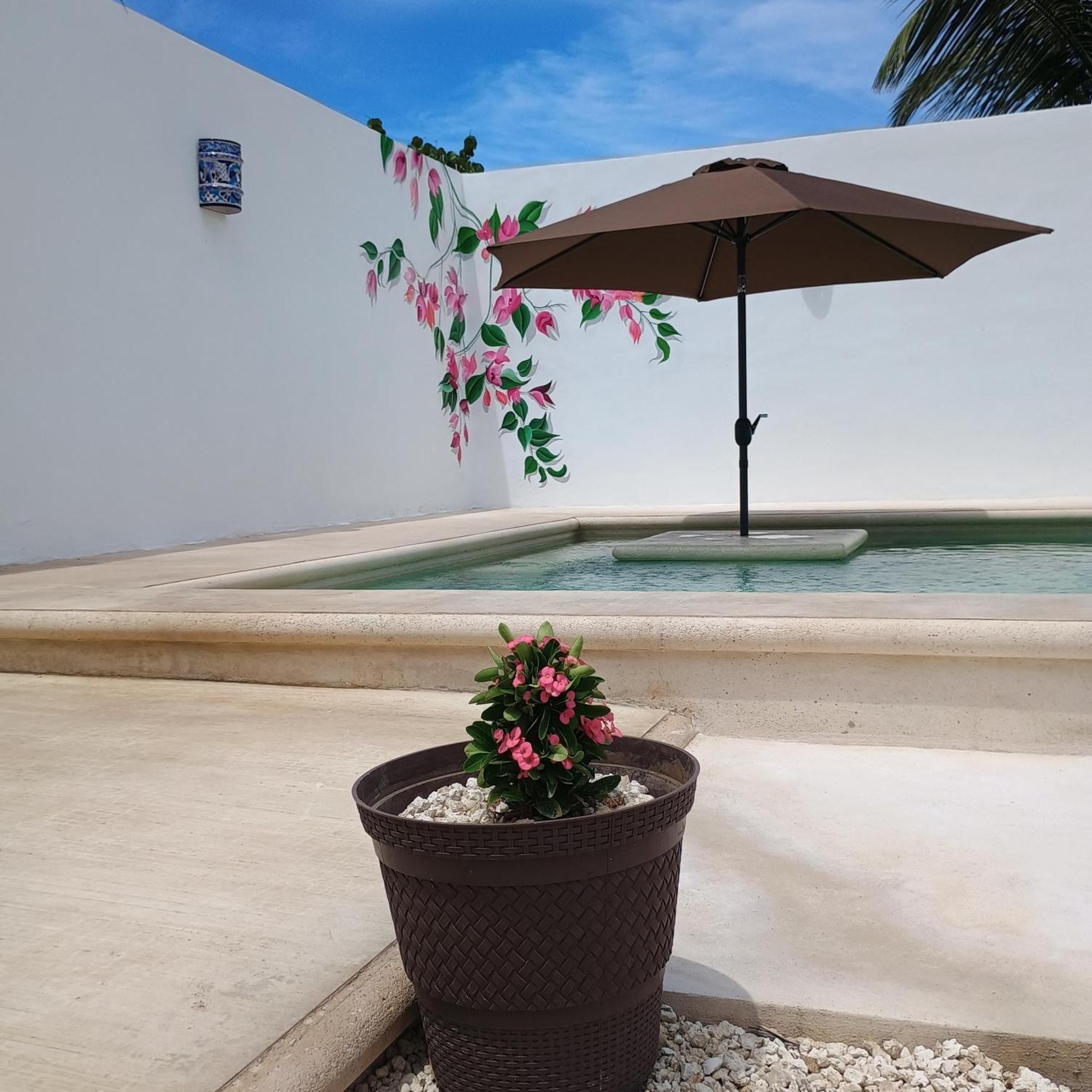 Casa Loto B Apartamento Chelem