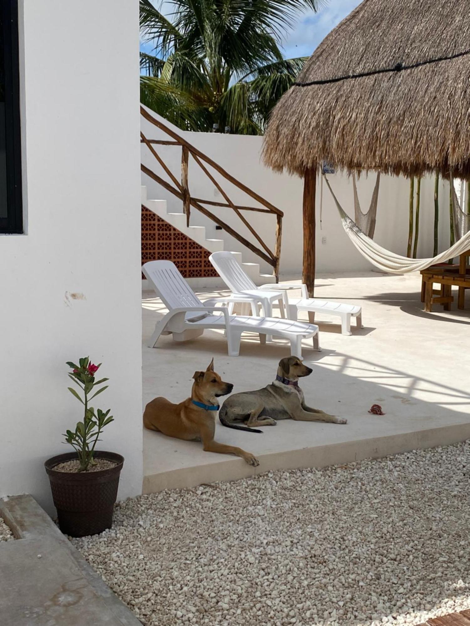 Apartamento Casa Loto B *