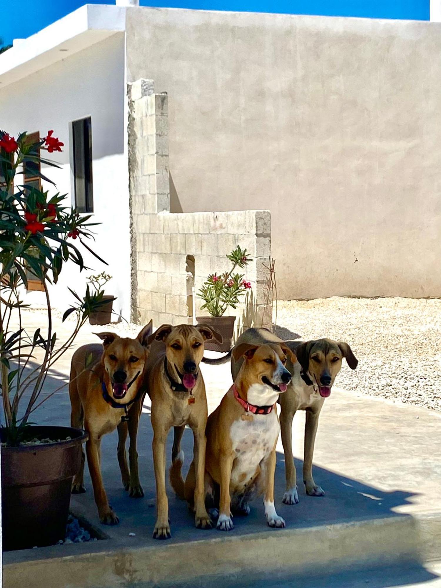 Apartamento Casa Loto B *